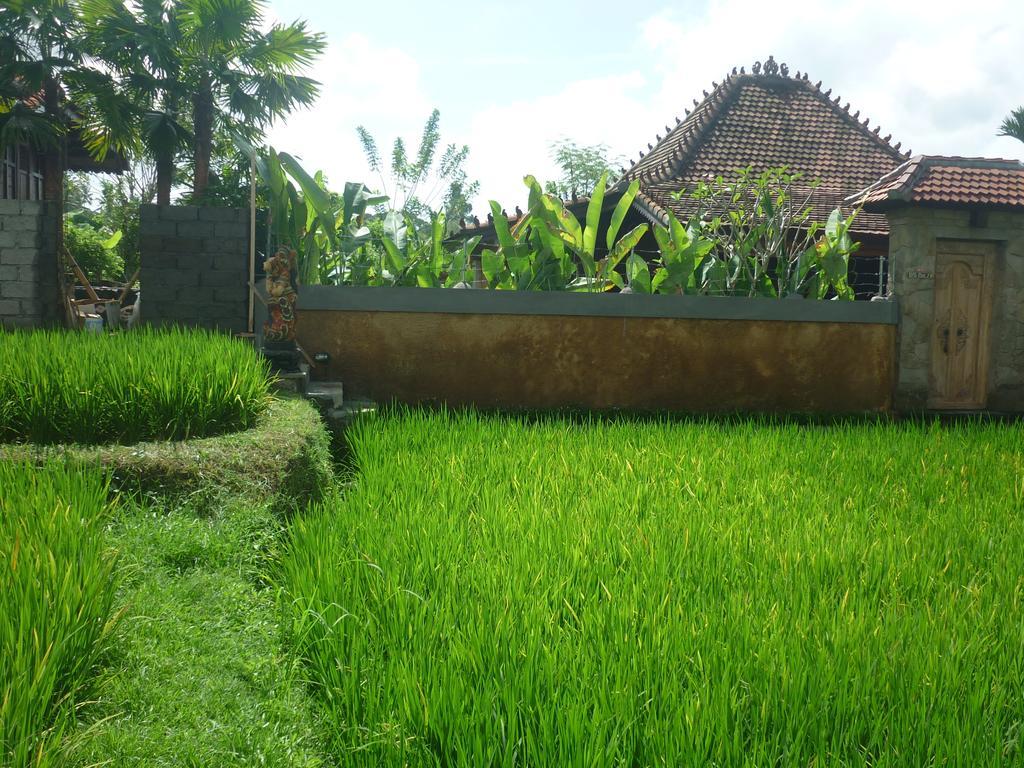 Villa Nini Ubud  Room photo